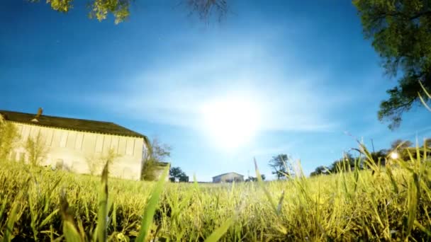 Night Lapse Looking Sky Field Old Building Shot Trees Bushes — Vídeos de Stock