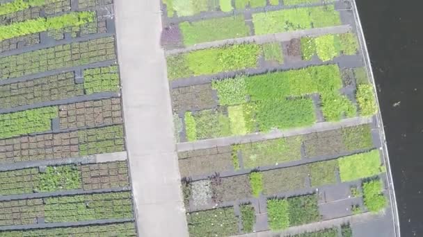 Drone Filming Nursery Garden — Video Stock
