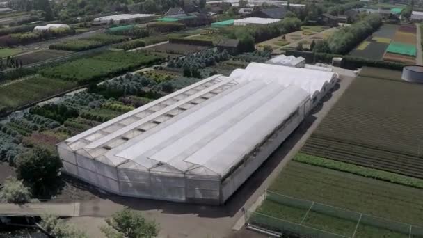 Drone Flying Large Plant Nursery — 비디오