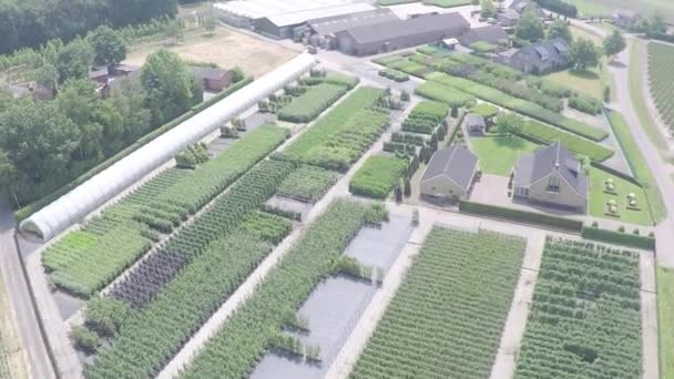 Drone Shot Plant Nursery Company — Vídeo de Stock