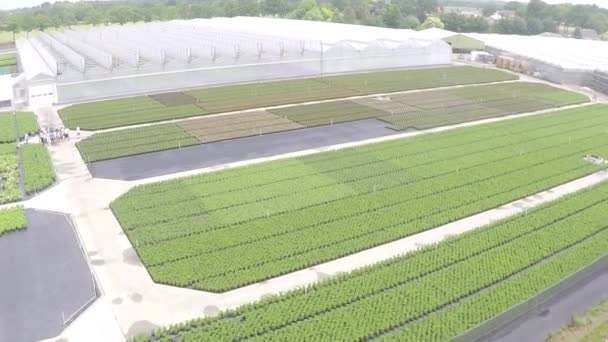 Drone Flying Rows Plants Greenhouse — Video