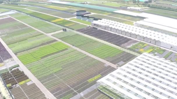 Drone Flying High Large Plant Nursery — Video Stock