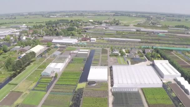 Drone Flying High Plant Nursery Garden — Stock video