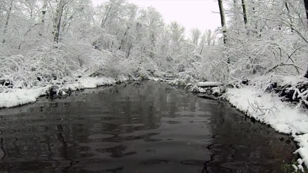 Yumuşak Kar Dalgalı Derenin Üzerine Yavaşça Düşüyor — Stok video