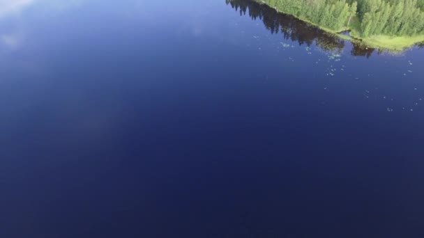 Drone Video Group Water Lilys Shoreline Beautiful Clear Finnish Forest — Stockvideo