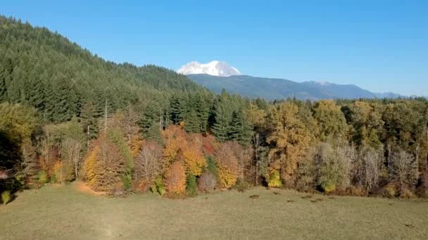 爱丽儿无人驾驶飞机的镜头揭示了山顶积雪覆盖的山 华盛顿州的雷尼尔 — 图库视频影像