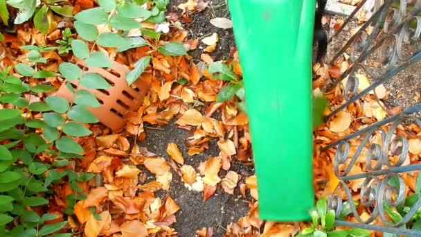 Foglie Schiarenti Giardino Ventoso Con Aspirapolvere Soffiatore Foglia Liquidazione Compostaggio — Video Stock