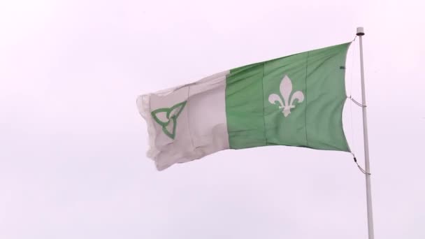 Medium Shot Franco Ontario Flag Waving Strong Wind — Stock videók