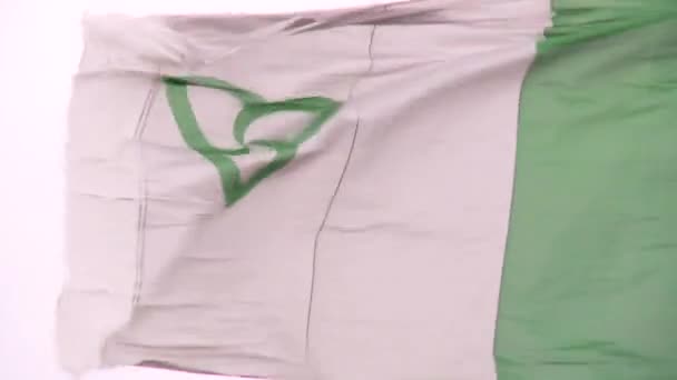 Extreme Close Franco Ontario Flag Waving Strong Wind — Video