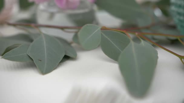 Wedding Decoration Eucalyptus Branch Table Sophisticated Elegant Wedding Decor — Wideo stockowe