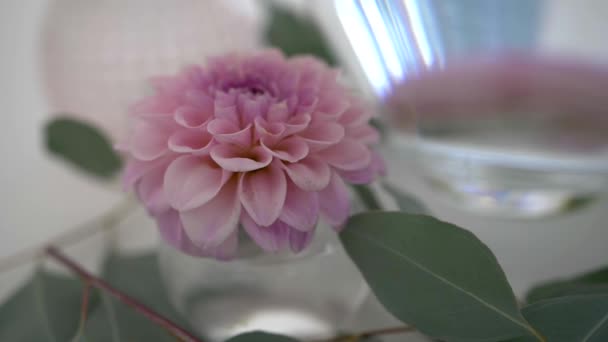 Όμορφη Διακόσμηση Γάμου Ροζ Λουλούδι Λευκό Τραπέζι Κομψά Στολίδια — Αρχείο Βίντεο