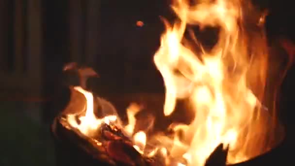 Close Slow Motion Roasting Marshmallows Roaring Fire — Stock Video