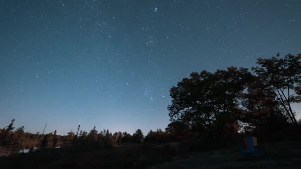 Χειμερινός Ουρανός Costellations Orion Pleiades Χορεύουν Όλο Σκοτεινό Ουρανό Του — Αρχείο Βίντεο