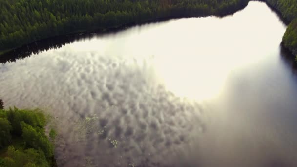 Aerial Fairytale Footage Forest Lake Borealis Wilderness Camera Tilting Slowly — Wideo stockowe