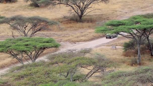 Safari Jeep Drives Dirt Road Serengeti Static Telephoto Shot Slow — Stockvideo