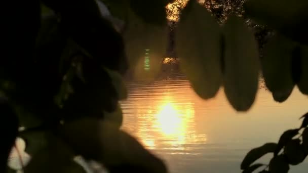 Tlačit Minulosti Listí Odhalit Krásné Jezero Při Západu Slunce Zlatou — Stock video