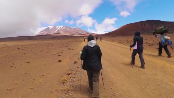 Foto Statica Gruppo Persone Che Camminano Usando Bastoncini Trekking Verso — Video Stock