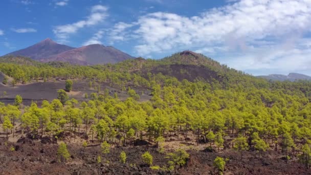 Aerial View Teide Volcano Tenerife — Stock video