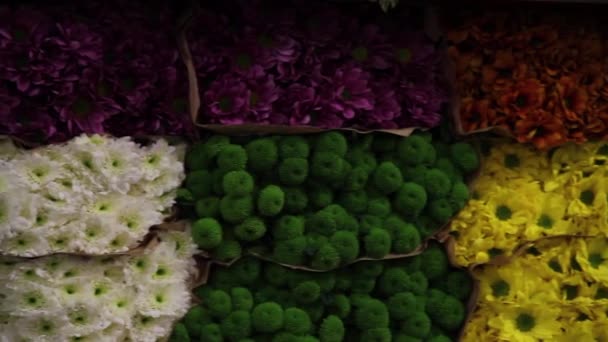 Pan Diverse Flowers Warehouse — Stockvideo