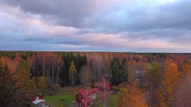 Luchtdrone Schot Richting Kleurrijke Herfstbomen Een Bewolkte Herfstdag Het Platteland — Stockvideo