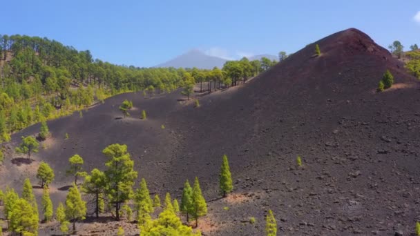 Aerial View Teide Volcano Tenerife — Stok video