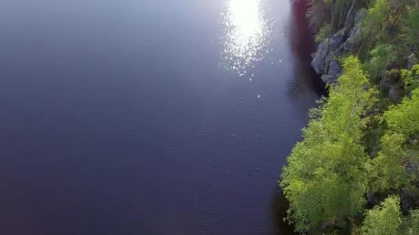 Beautiful Aerial Shot Steep Rocky Shoreline Forest Lake Borealis Wilderness — Wideo stockowe