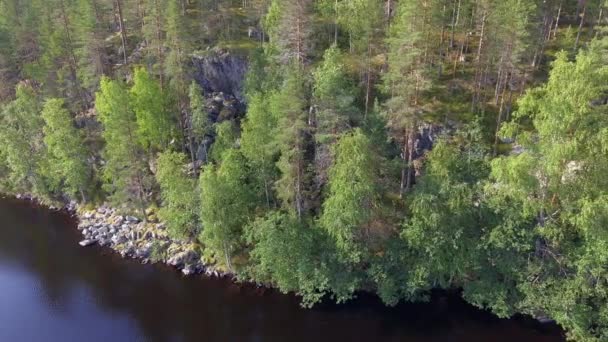 Drone Footage Ice Age Molded Steep Rocky Shoreline Forest Lake — Vídeos de Stock