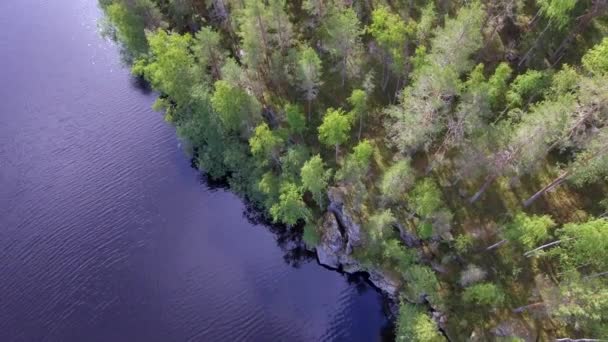 Drone Footage Ice Age Molded Shoreline Forest Lake Camera Straight — Video