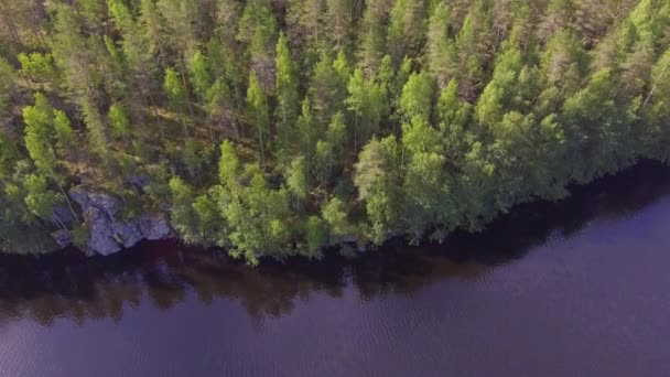 Aerial Video Untouched Borealis Forest Ice Age Molded Big Rocks — Stok video