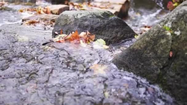 Voda Tekoucí Japonské Zahradě Worclaw Zpomalený Pohyb Vodě — Stock video