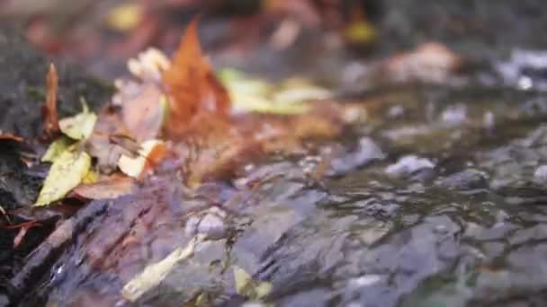 Voda Tekoucí Japonské Zahradě Worclaw Zpomalený Pohyb Vodě — Stock video