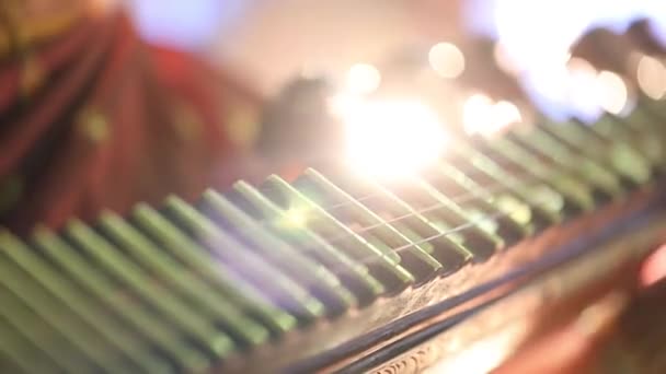 Indische Frauen Spielen Veena Ein Altes Musikinstrument Saiteninstrumente Großaufnahme — Stockvideo