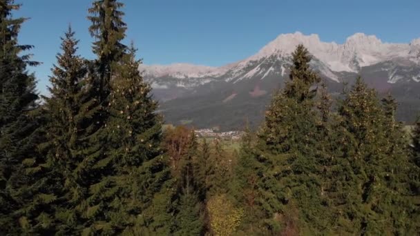 Aerial Flying Trees See Beautiful Valley Alps Tyrol — Stockvideo