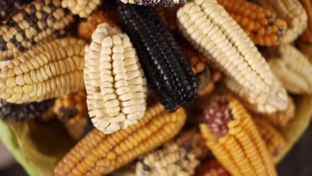 Slider Shot Corn Peru — Stock Video