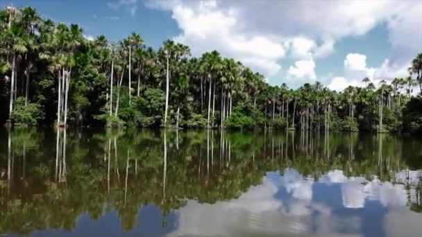 Riflessione Del Lago Tambopata Peru — Video Stock