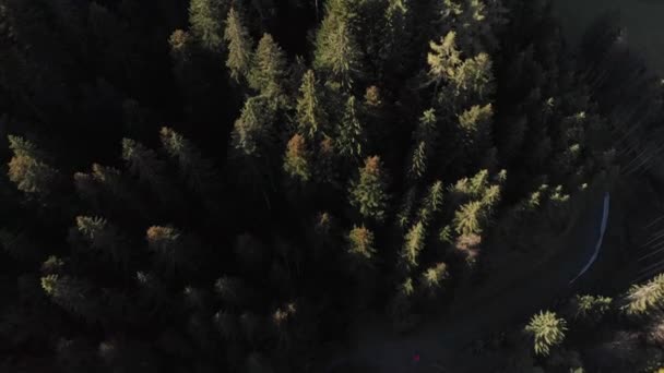 Drones Van Boreale Bossen Alpen Overdag — Stockvideo