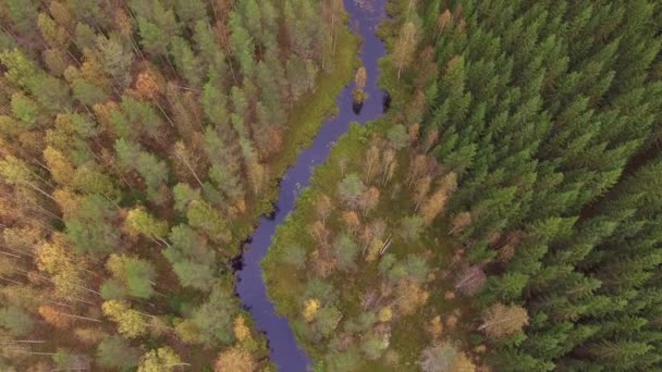 Воздушные Съемки Реки Леса Бореале Другая Сторона Реки Зеленее Другой — стоковое видео