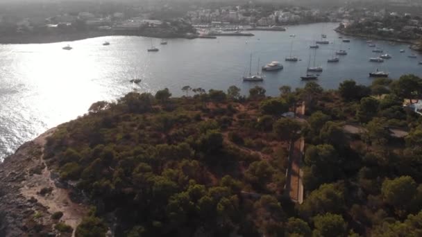Аэриал Гавань Роскошными Лодками Закате Мбаппе Испания — стоковое видео