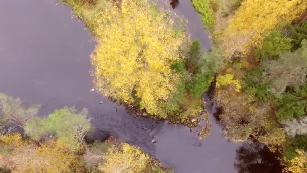 Drone Descending Beautiful River Autumn — Stock video