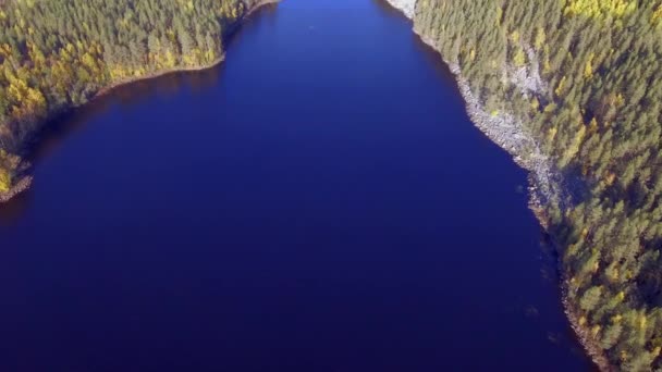 Luftaufnahmen Eines Wunderschönen Sees Der Wildnis Schwarm Kleiner Vögel Fliegt — Stockvideo