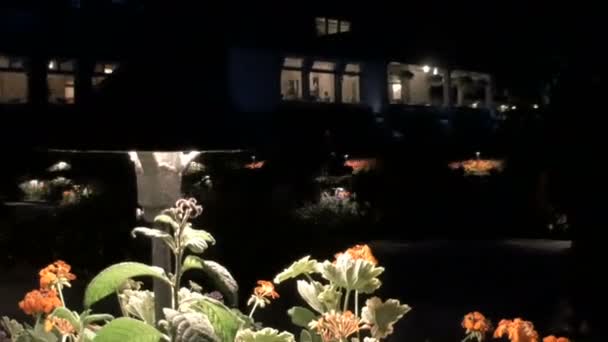 Camera Slowly Drops Lit Flower Bed Dark Night Small Lamp — Vídeo de Stock