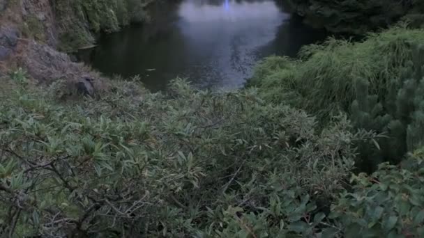 Ein Einziger Wasserstrahl Schießt Aus Einem Einsamen See — Stockvideo