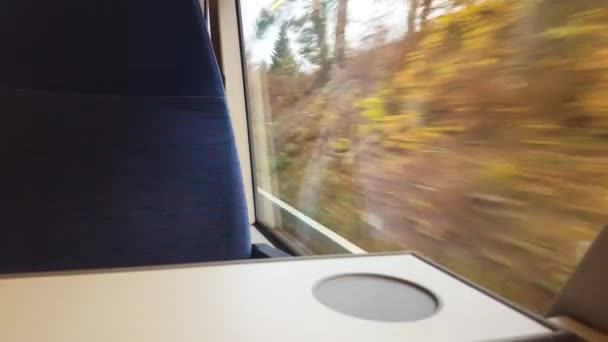 Resa Med Tåg Thüringen Titta Genom Fönstret — Stockvideo
