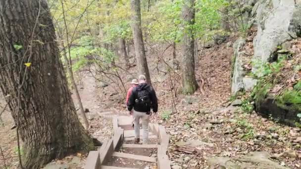 Turisté Sestupují Pěšině Vrcholu Stezky Blue Ridge Mountains Virginii Venkovských — Stock video