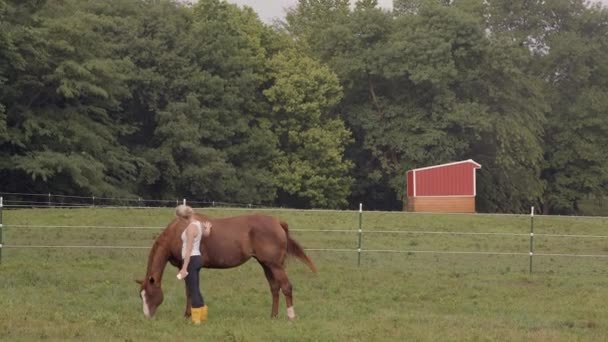 Woman Pets Young Colt Grazing Field Smiles Camera — Stock video