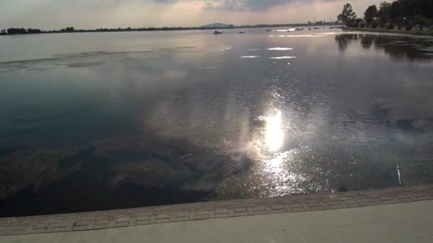 灰色の水の中の太陽の反射による水質汚染 — ストック動画