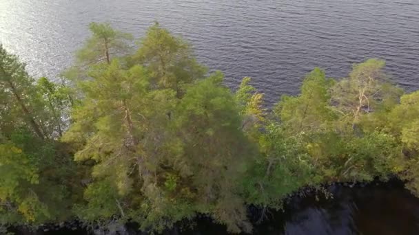 Drone Coulissant Une Île Étroite Milieu Lac Finlande — Video