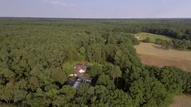 Let Dronem Nad Kempenským Lesem Vesnicí Belgii Poblíž Antverp Let — Stock video
