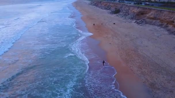 Drone Footage Surfer Walking Beach Sundown Footage Captured Huntington Beach — Stock Video