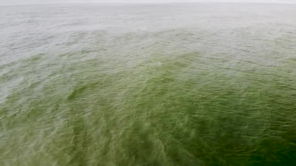 Foto Aérea Olas Tranquilas Ondeando Océano Hasta Que Delfín Salta — Vídeo de stock